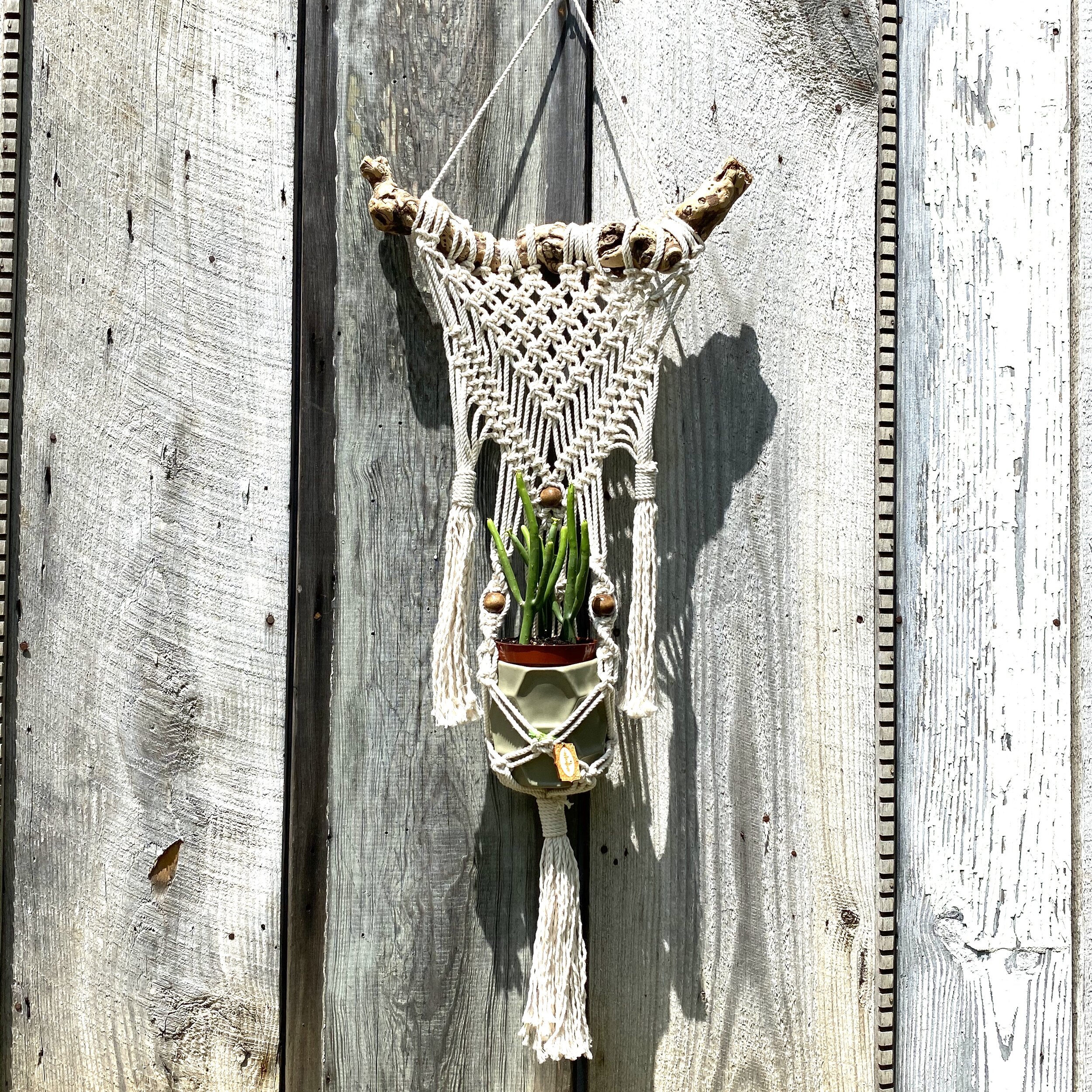 TMP-02 Custom Handmade Macrame Plant Hanger plum in color without beads 