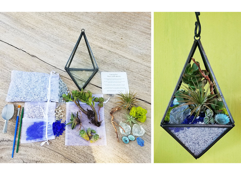 DIY Complete Terrarium Craft Kit, DIY Craft Kit, Gifts