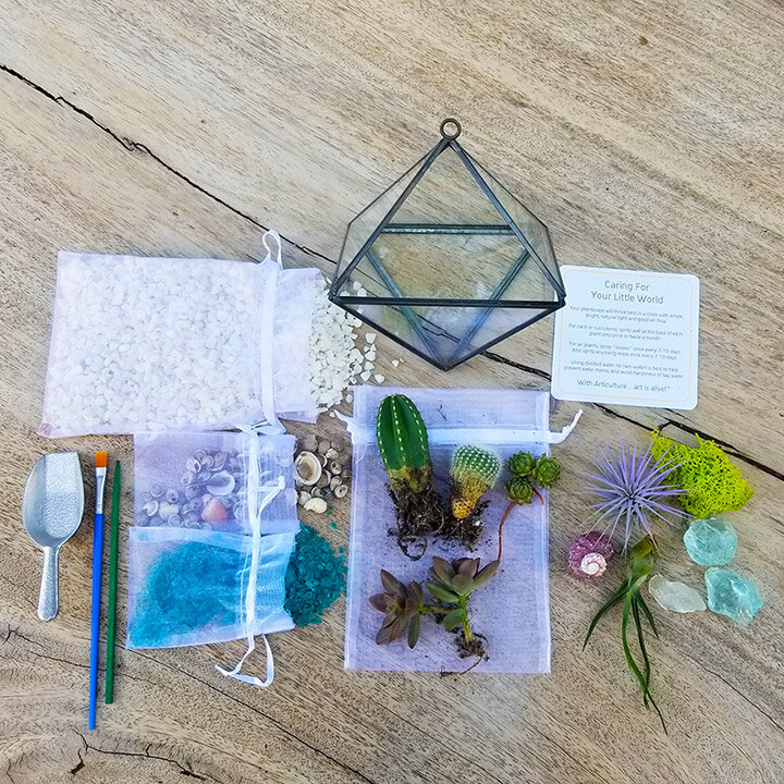 Water Terrarium Kit, DIY Craft Kit, Gifts