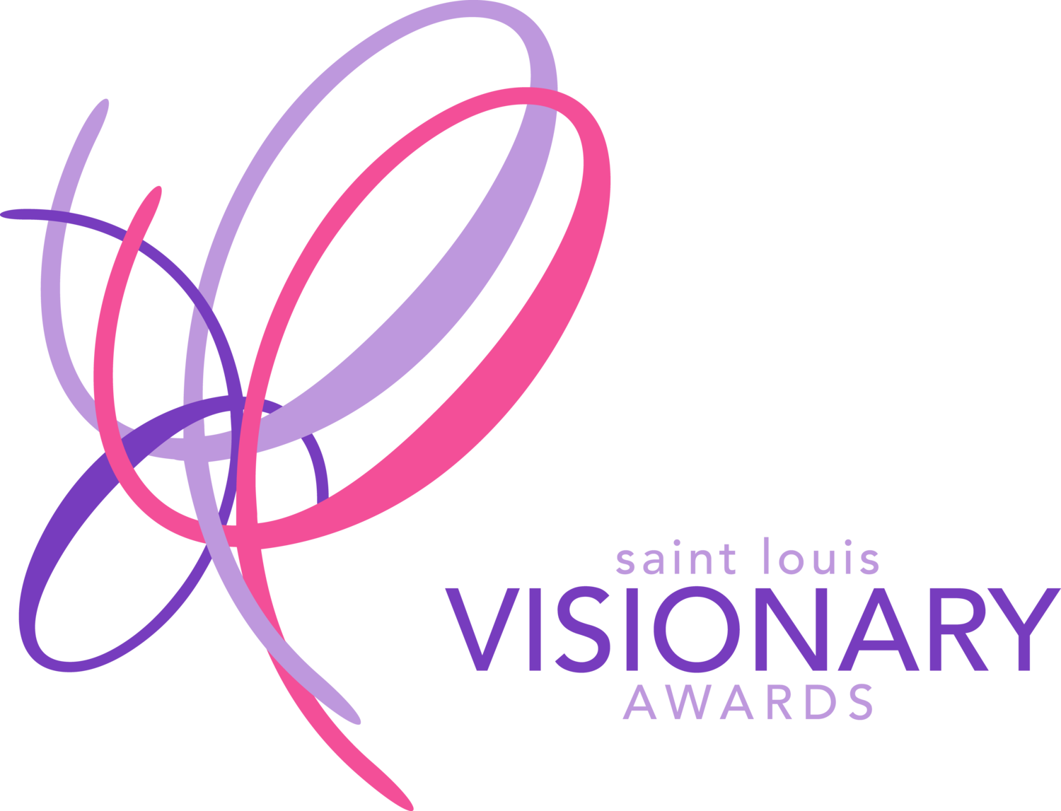 Saint Louis Visionary Awards