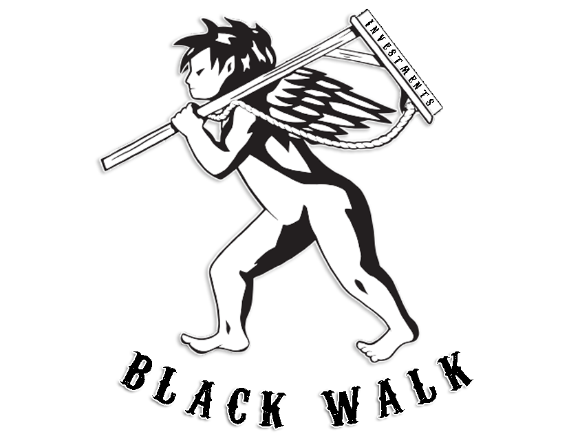 BLACK WALK INVESTMENTS INC