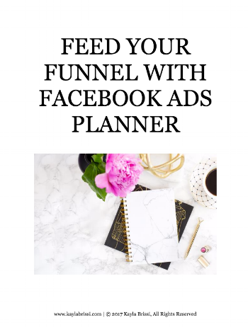 使用Facebook Ads Planner喂您的程序