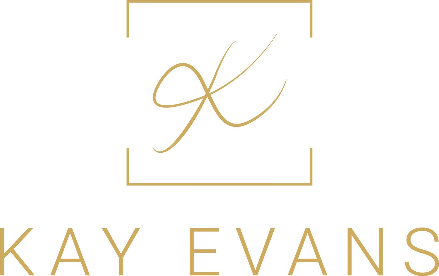 Kay Evans Advanced Skin Treatments North Wales