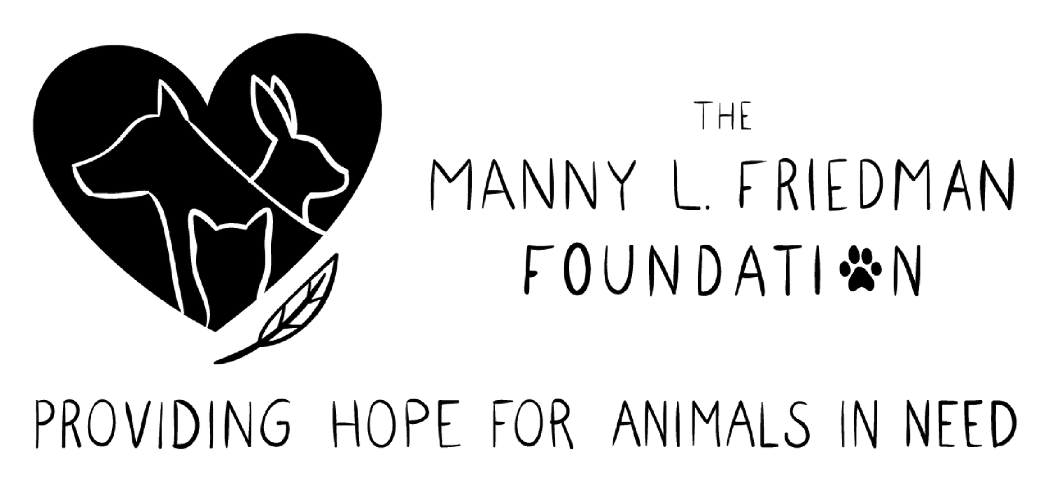 The Manny L. Friedman Foundation