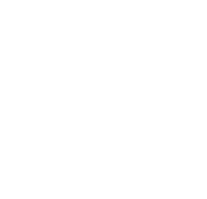 Secret Lantern Society