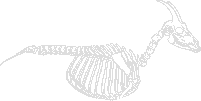 RiverGoat