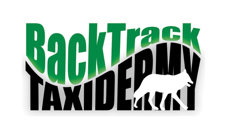 BackTrack Taxidermy