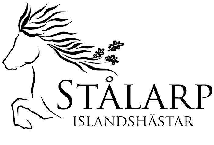 Stålarp Islandshästar, ridskola, turridning och ridläger