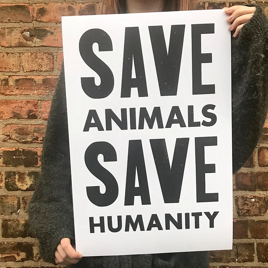 save animals posters save animals wikipedia