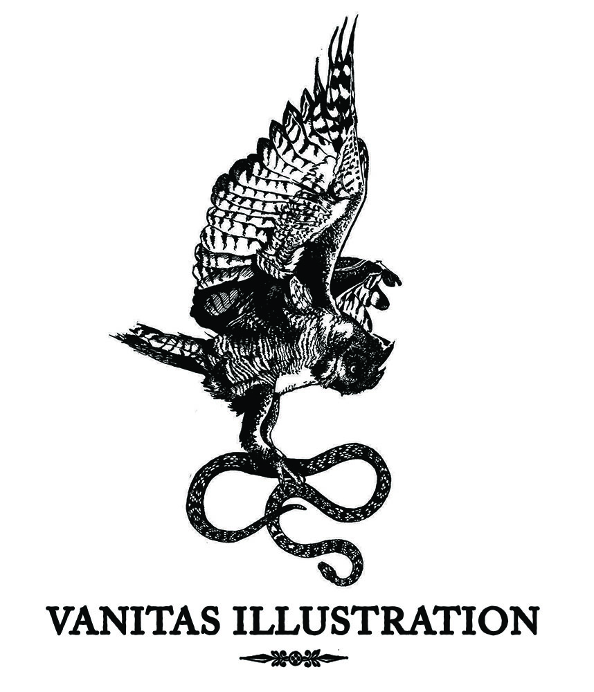 Vanitas Illustration 