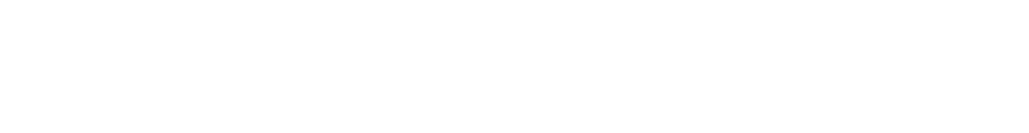 Peleg Group