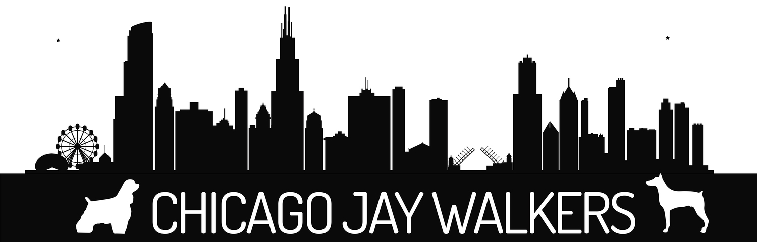 Chicago Jay Walkers