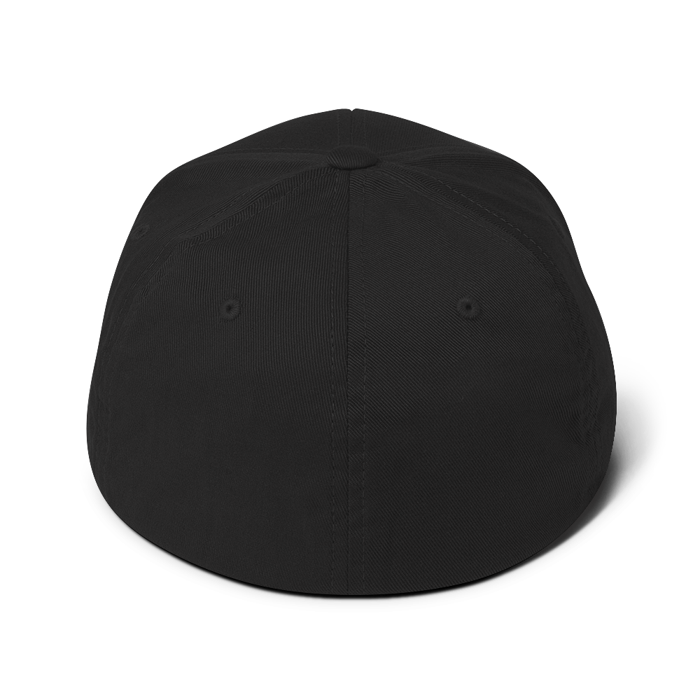 flexfit black cap