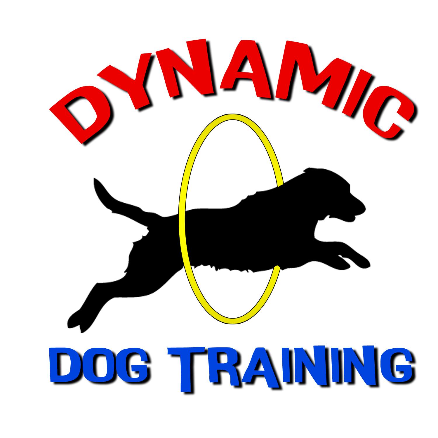 Dynamic Dog Training