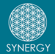 Synergy Health Group