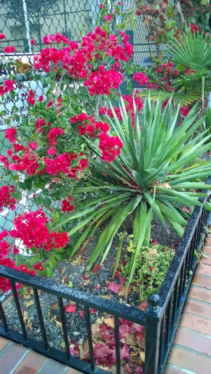 设计-灵感-博客-fuschia-green.jpg