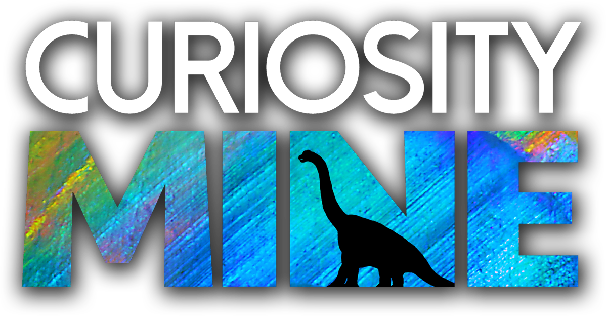 Curiosity Mine
