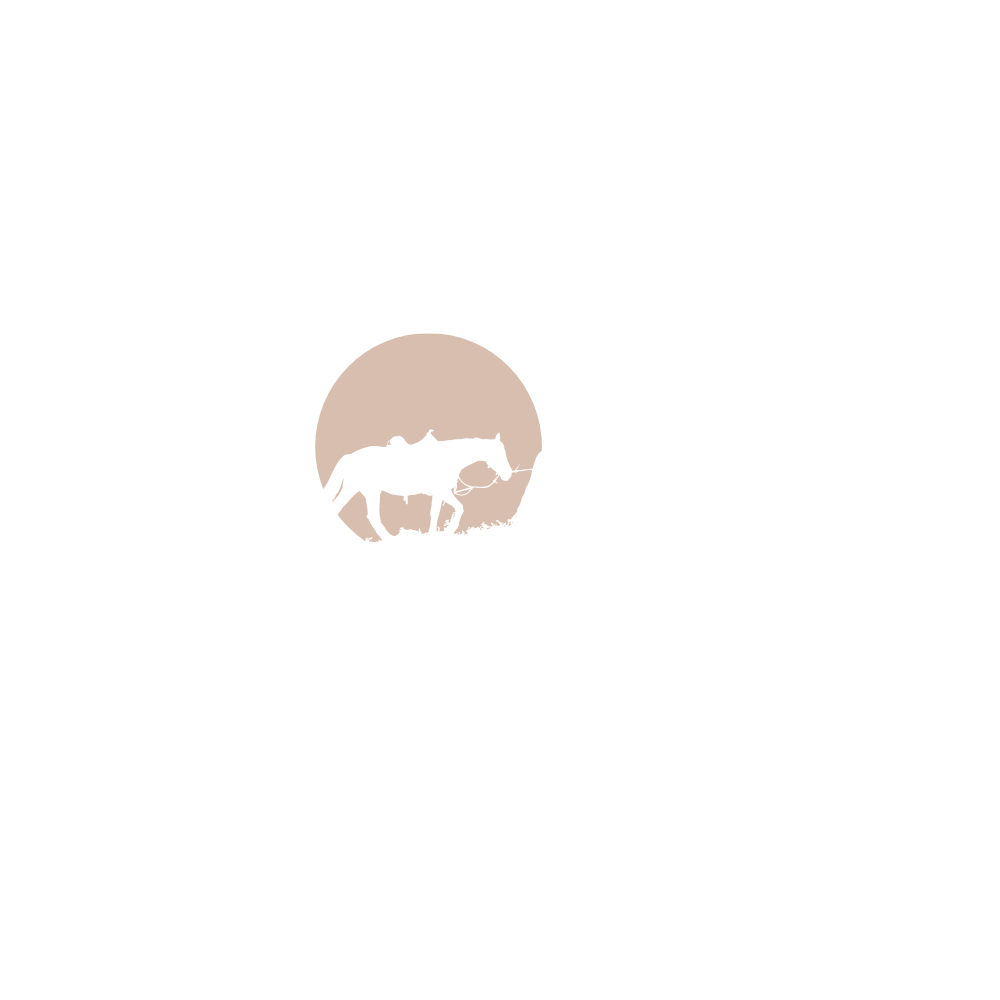 Lucky Horse Ranch
