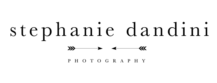 Stephanie Dandini Photography