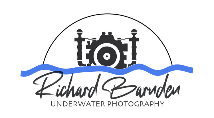    RICHARD BARNDEN PHOTOGRAPHY