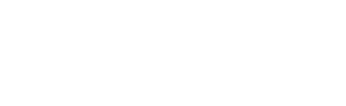 Solterra Real Estate Specialist
