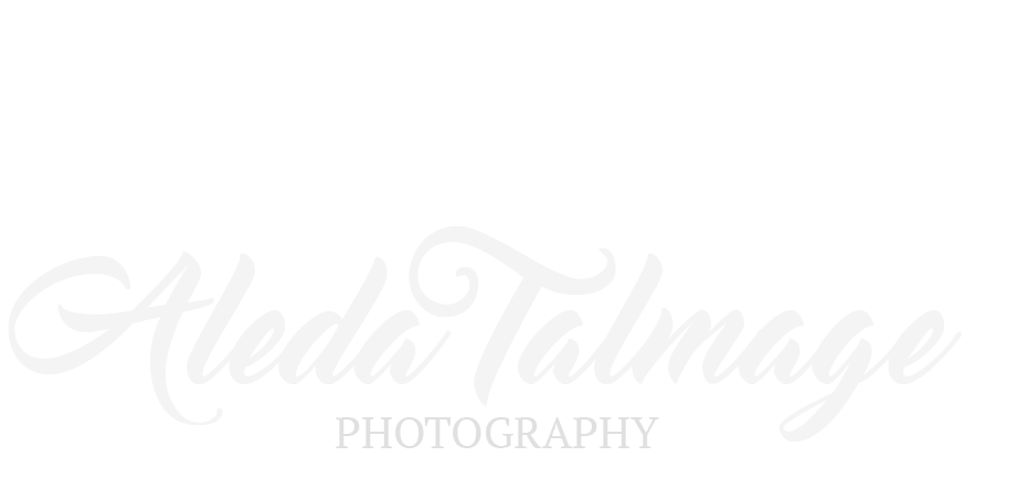 Aleda Talmage Photography