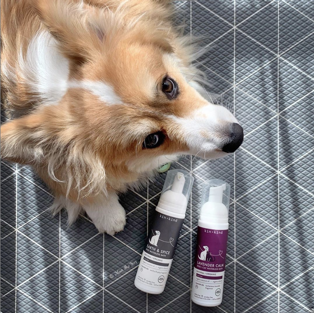 kin kind dog shampoo