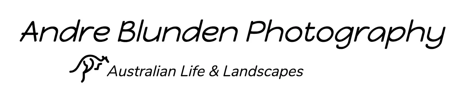 Australian Life & Landscapes