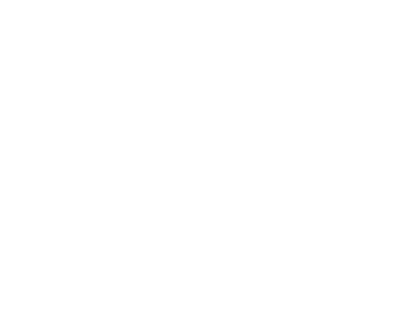 New Century Enterprises