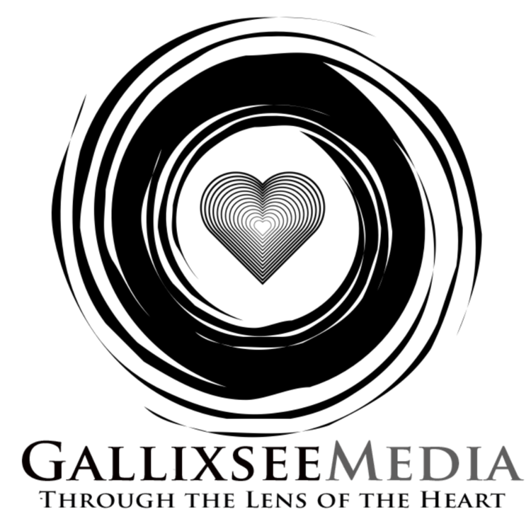 Gallixsee Media