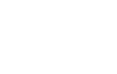 Mindful Wisdom