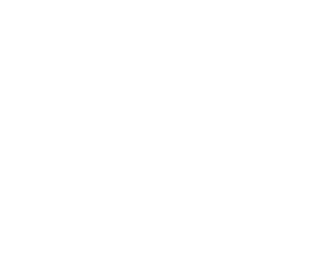 ELVA LI Luxury Brand & Wealth Activator