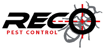 RECO PEST CONTROL 
