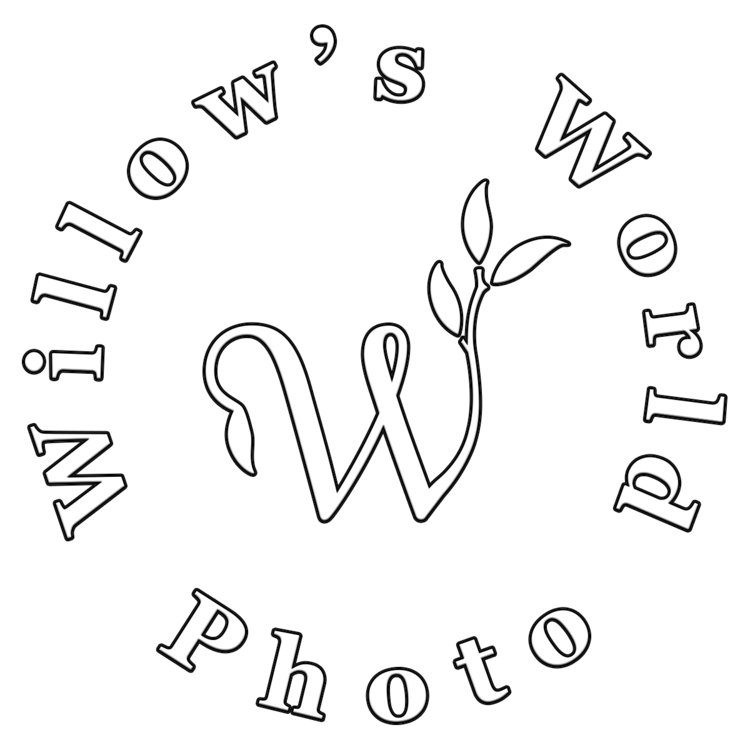 Willow's World Photo