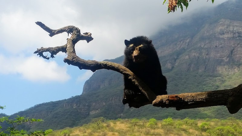 Chaparri Ecolodge.