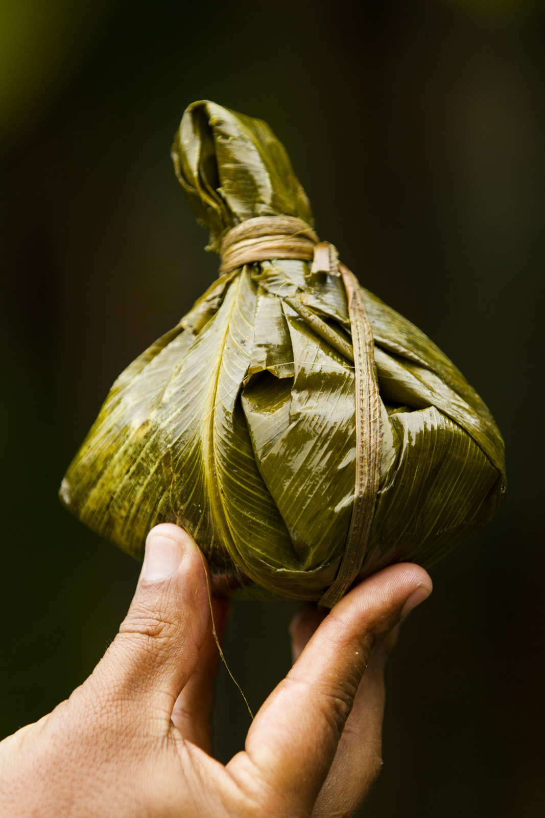 在chachibou叶子包裹的胡安。