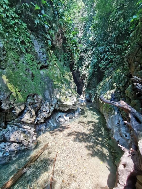 里约阿比塞奥National Park