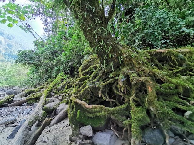 里约阿比塞奥National Park