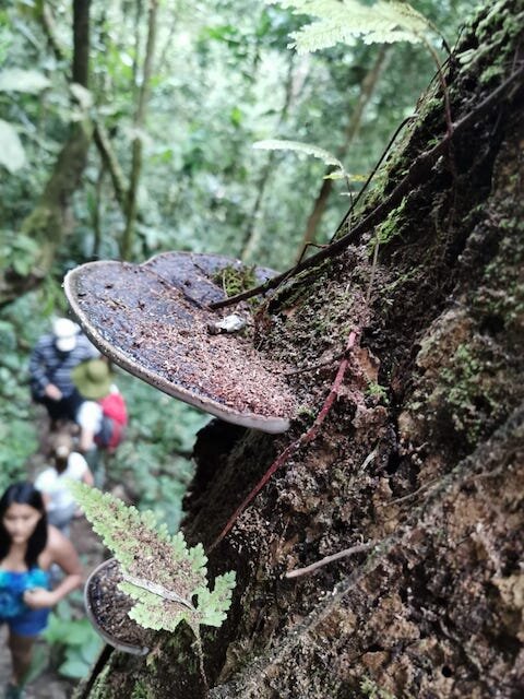 里约阿比塞奥National Park
