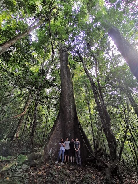 里约阿比塞奥National Park