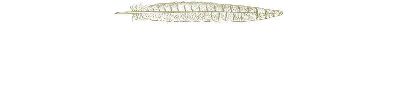 Pheasant Lane Designs