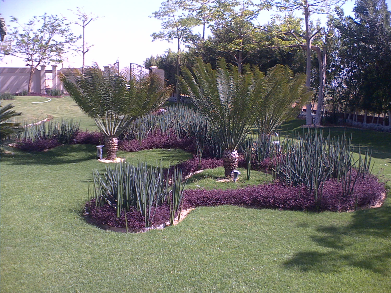 Modon Architecture and Landscape architecture