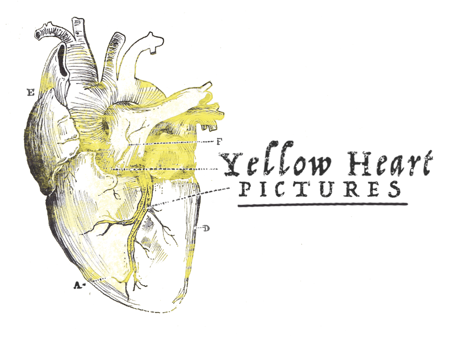 Yellow Heart Pictures