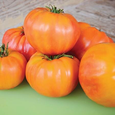 Seville Farms Slicer Mini Tomatoes 4 Pack Red 2.7 Inch 