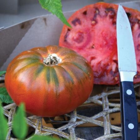 Slicer Tomatoes — Wild Grown Farm