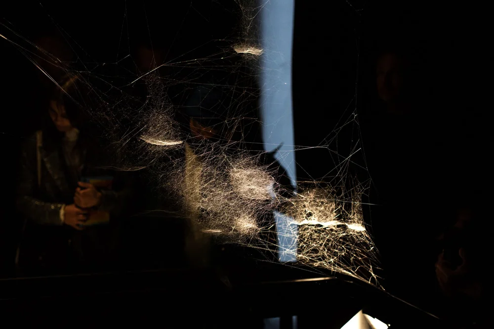 Tomás Saraceno, Spider/Web Pavilion 7: Oracle Readings, Weaving Arachnomancy, Synanthropic Futures: At-ten(t)sion to invertebrate rights!, 2019. Mixed media. Photo by: Francesco Galli. Courtesy: La Biennale di Venezia