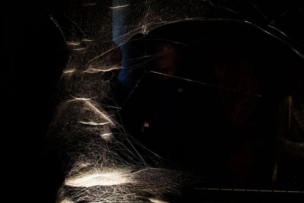 Tomás Saraceno, Spider/Web Pavilion 7: Oracle Readings, Weaving Arachnomancy, Synanthropic Futures: At-ten(t)sion to invertebrate rights!, 2019. Mixed media. Photo by: Francesco Galli. Courtesy: La Biennale di Venezia