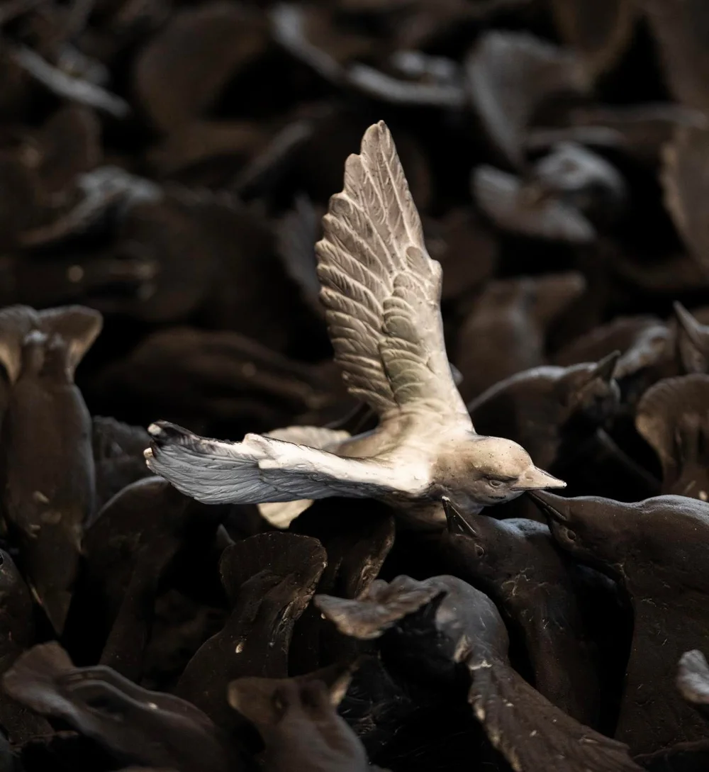 Photo: Tobias Titz