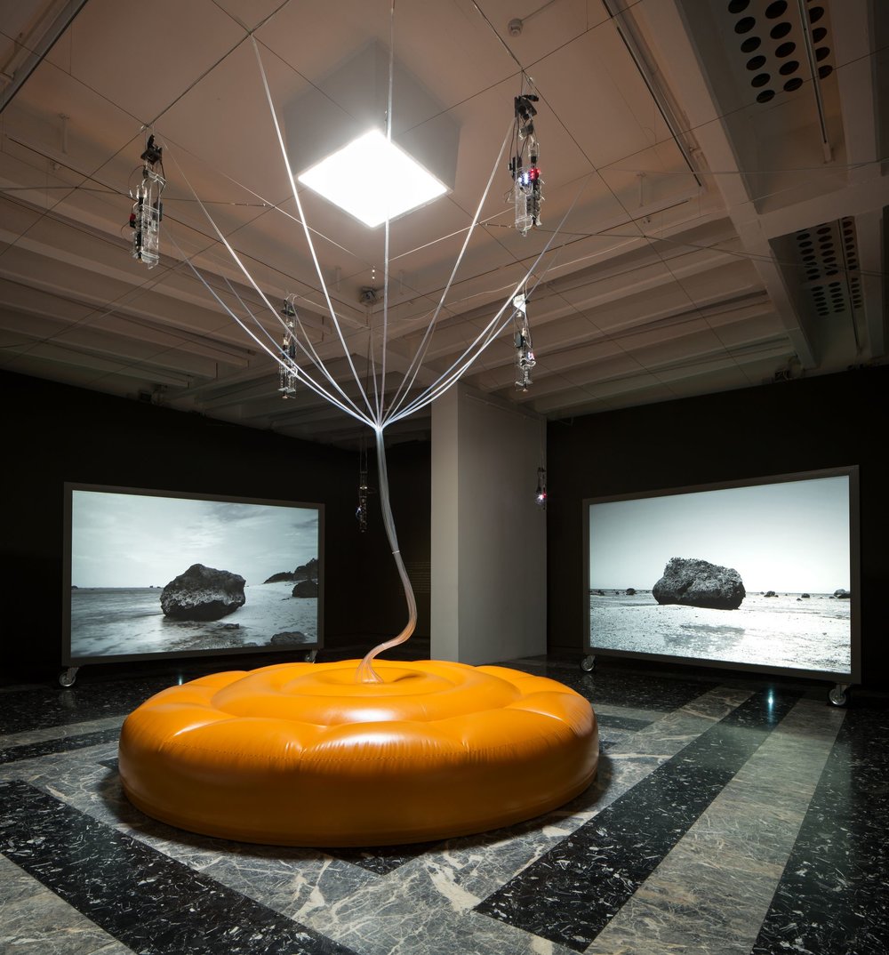 Pavilion of JAPAN, Cosmo-Eggs. Photo by: Francesco Galli. Courtesy: La Biennale di Venezia