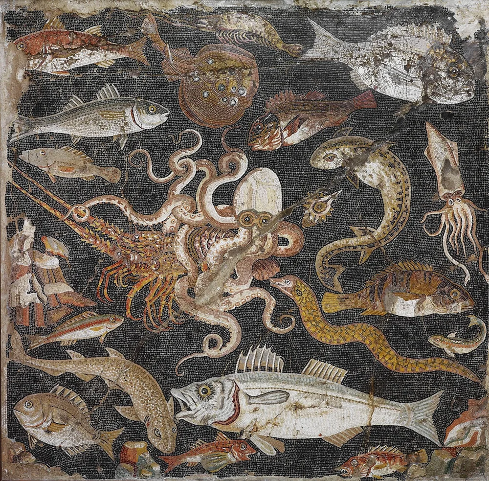 Polychrome mosaic emblema (panel) showing fish and sea creatures, 100–1 BC. Pompeii, House of the Geometric Mosaics (103 x 103 cm). Museo Archeologico Nazionale di Napoli